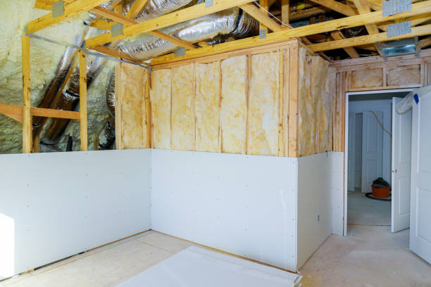 Best Residential Insulation in Dranesville, VA