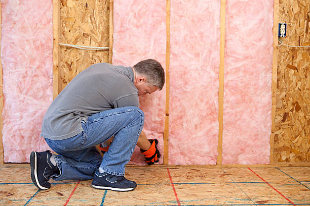 Types of Insulation We Offer in VA