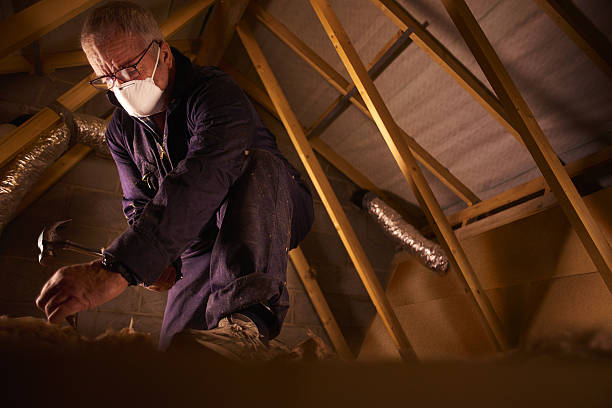 Best Insulation Installation Services in Dranesville, VA